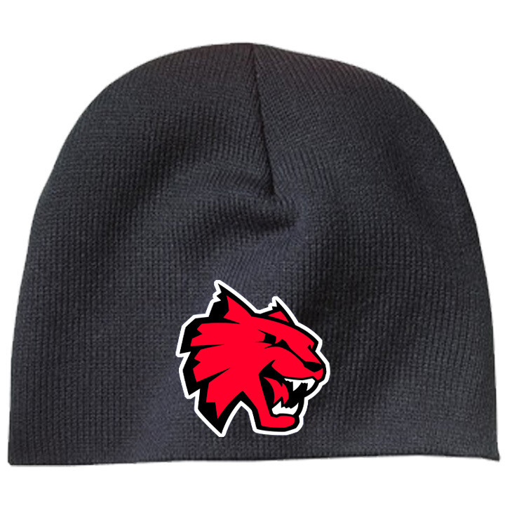 Northwestern Wildcats Knit Beanie