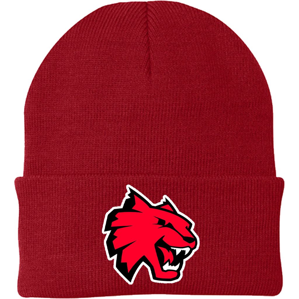 Northwestern Cuffed Knit Hat