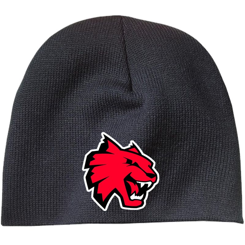 Northwestern Track &amp; Field Beanie (embroidered)