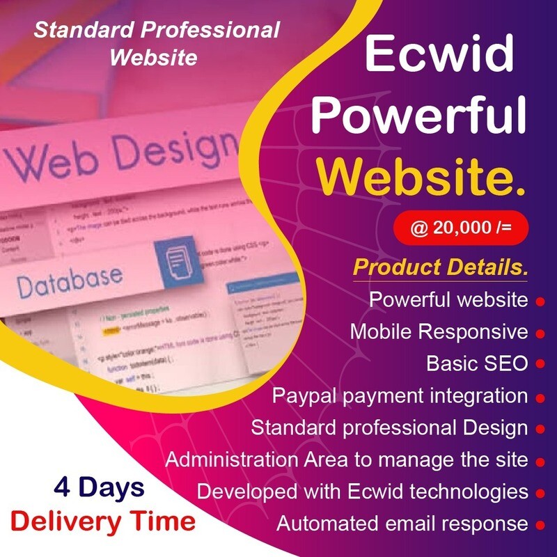 Standard Professional  Ecwid powerful website