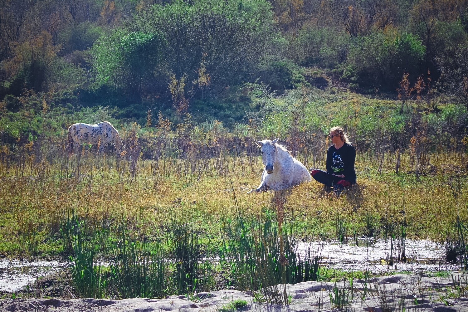 14 Day Equine Assisted Eco-Therapy Rewilding Retreat