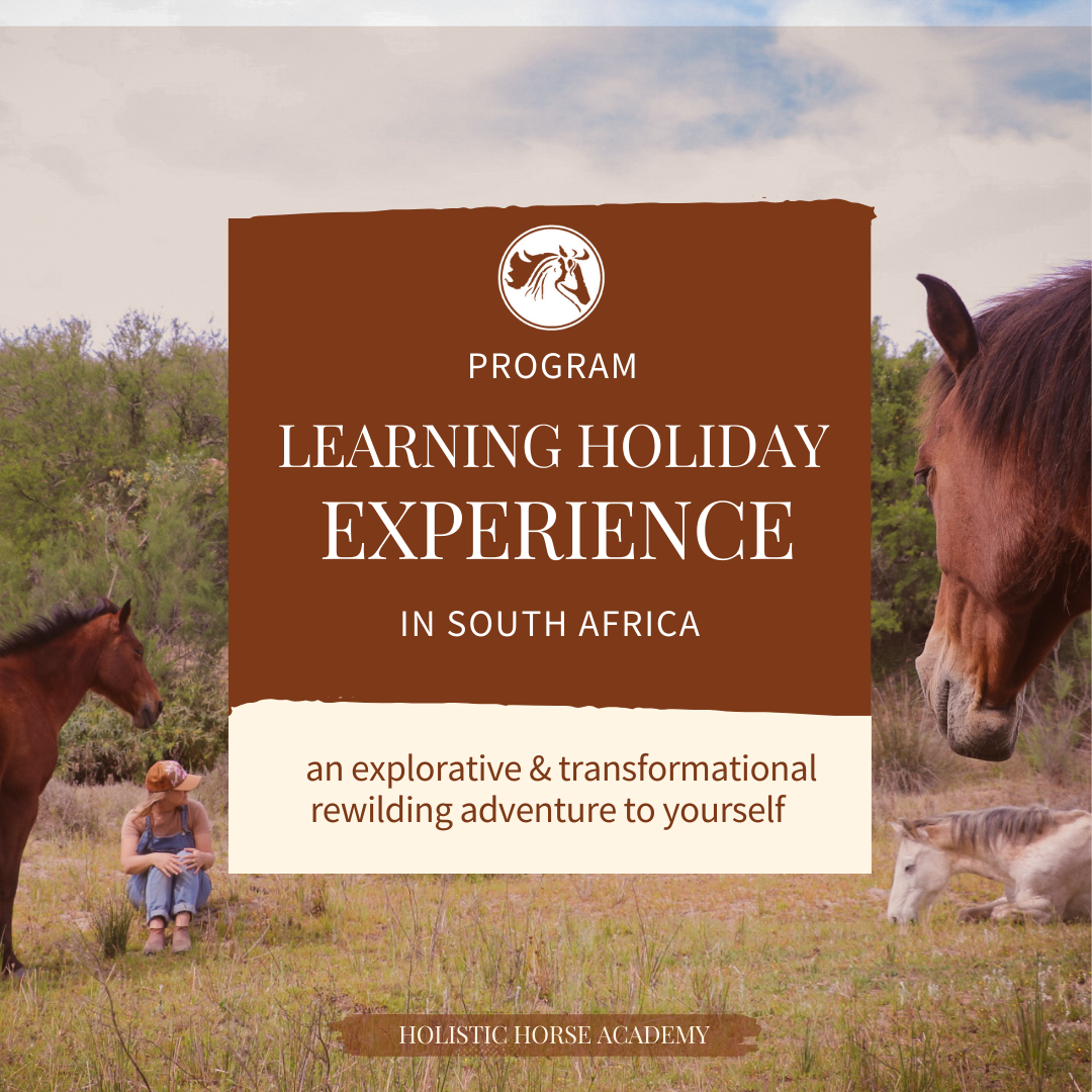 Working &amp; Learning Holiday 1Month