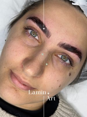 Master Lamin Art Online
