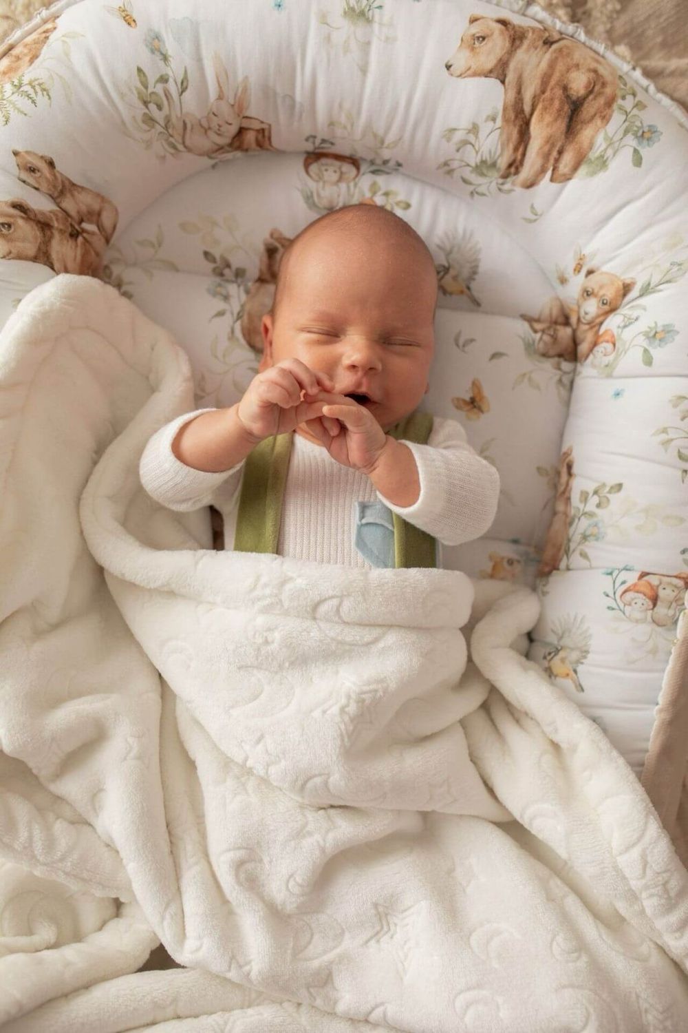 Bear Glade Βρεφική Φωλιά Με Θήκη Μεταφοράς | Light Beige