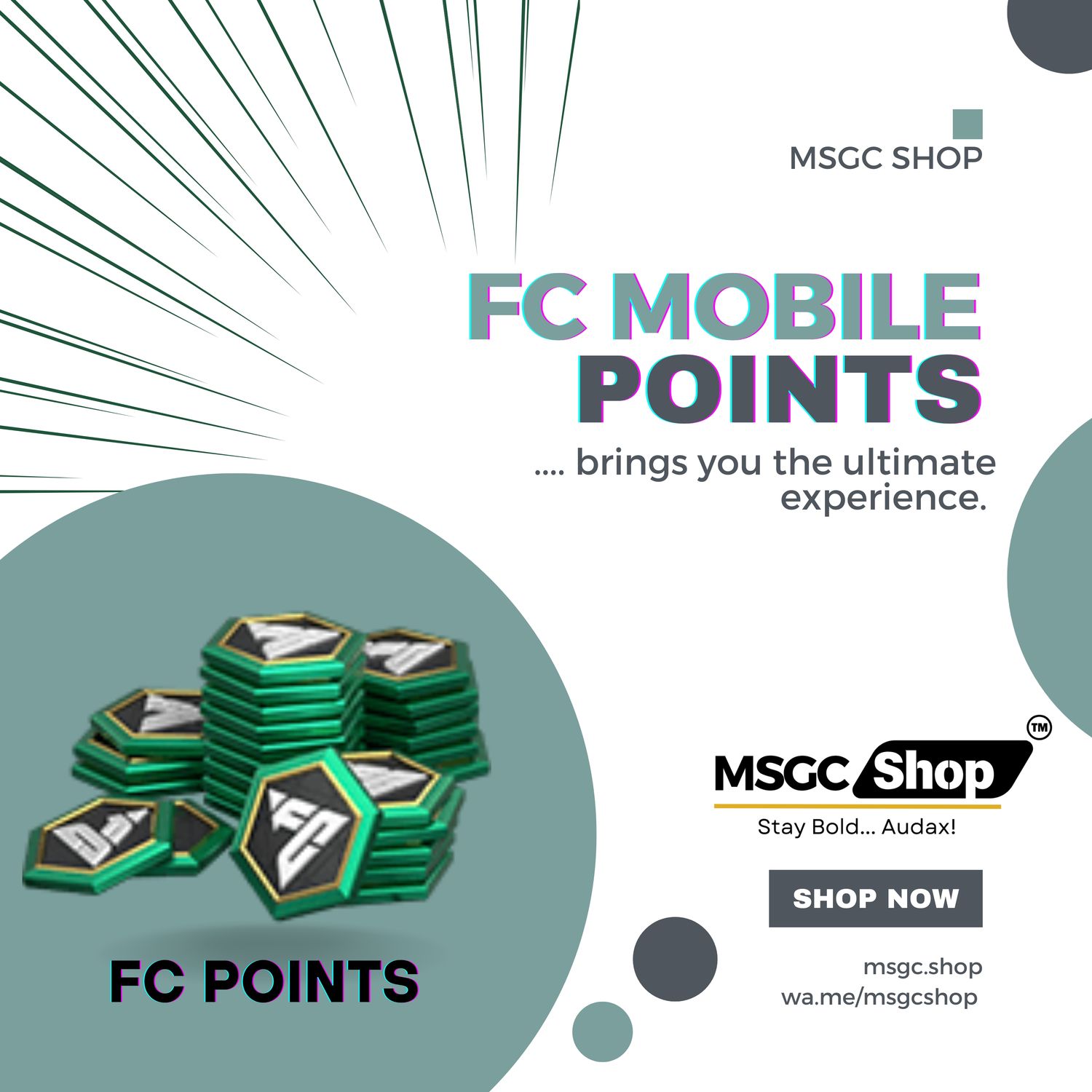 100 FC POINTS