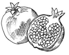 Kasha Varnishkes (per pound)