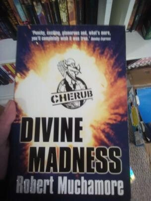 Divine Madness