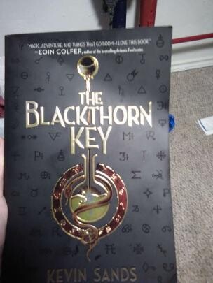 The Blackthorn Key(*Tara&#39;s Pick)