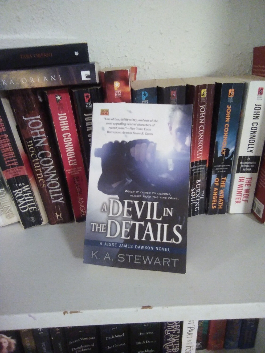 A Devil in the Details(*Tara&#39;s Pick)