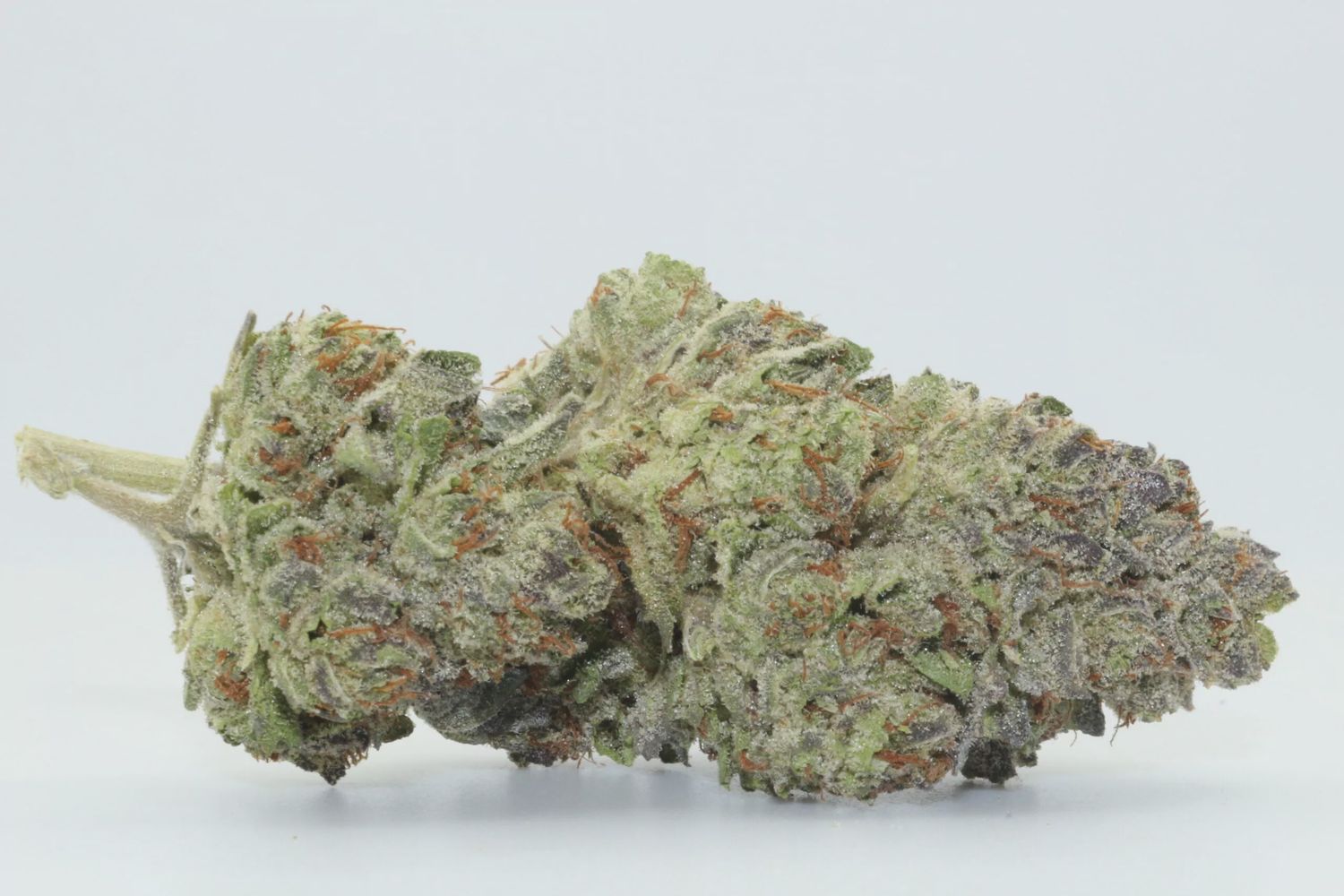 Animal Cookies THCa