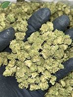 Apple Fritter D9 Thca