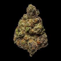 Pablo&#39;s Revenge Exotic Thca