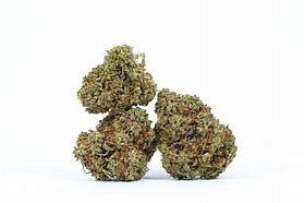 xxx og thca Exotic