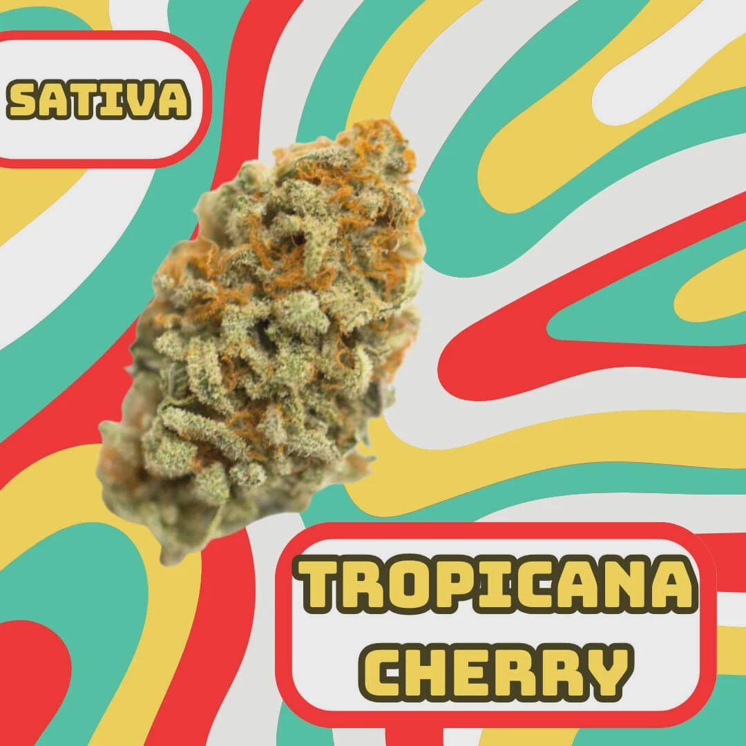 Tropicana Cherry Cookies Thca