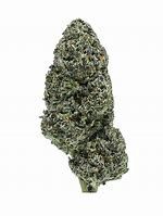 Black Cherry Gelato THCa Flower Greenhouse