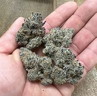 Chimera D9 THCa Flower Hybrid