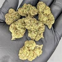 Mint Ice Thca Flower