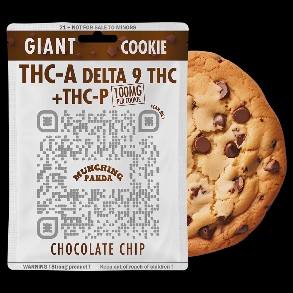 Munching Panda Giant Chocolate Chip Cookie 100mg