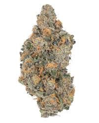 Frozen Skittlez THCa