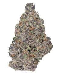 Tropical Gelato D9 THCa Flower