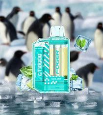 Foger Cool Mint 30k Puffs