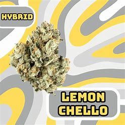 Lemoncello D9 THCa Greenhouse