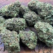 Sherb Cake Delta 9 THCa Flower