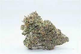 White Runtz Delta 9 THCa Flower