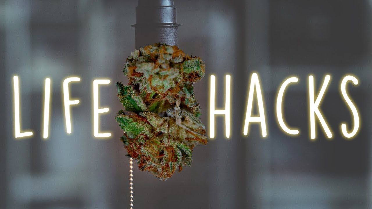 Life Hacks Delta 9 THCa Flower
