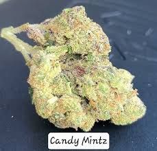 Candy Mintz Delta 9 THCa Flower