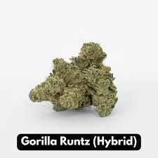 Gorilla Runtz Delta 9 THCa Flower
