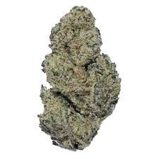 Cotton Candy Kush Delta 9 THCa Flower