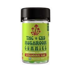 Magnolia Hemp THC+CBD Mushroom Gummies Strawberry Kiwi