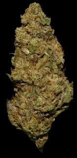 Gorilla Glue Premium Delta 9 THCa Flower