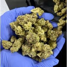 Blue Dream Premium Delta 9 THCa  Flower