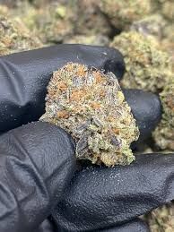 Pink Runtz Delta 9 THCA Flower