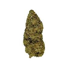 Government Oasis D9 THCa