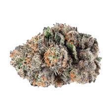 Blue Gusher Delta 9 THCa flower