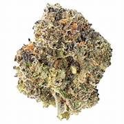 Stunna Runtz Hybrid Exotic