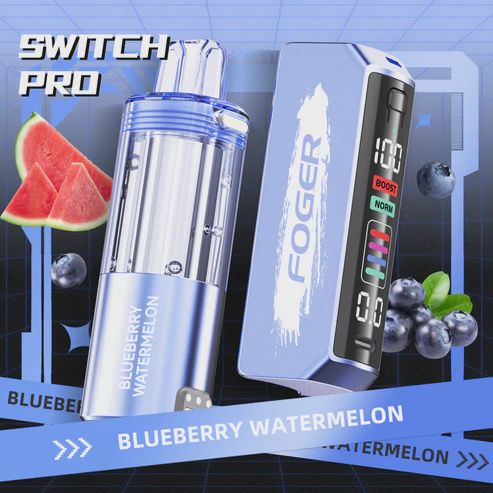 Foger with Battery Blueberry Watermelon