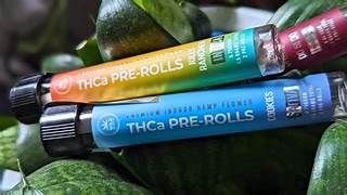 THCa Pre Roll's