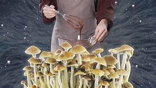 Mushroom Edibles
