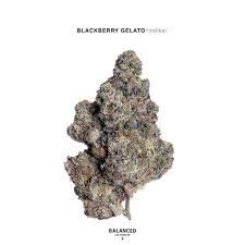 Blackberry Gelato THCa 1g