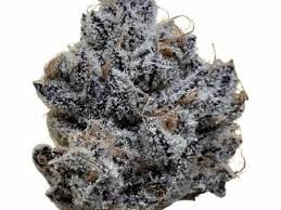 Emergency Runtz Exotic