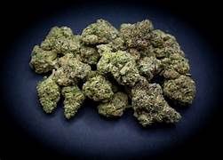 Gorilla Glue Premium Delta 9 THCa Flower