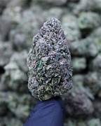 Pink Zots THCa Flower