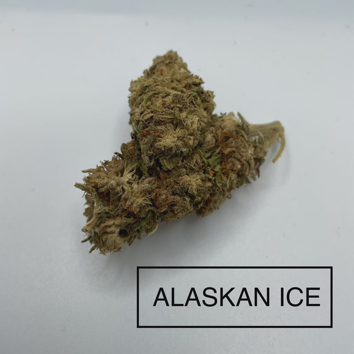 Alaskan Ice THCa 1 gram