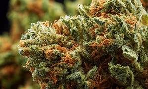 Sour Diesel Sativa THCa Hemp Flower