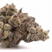 Larry Og  Hybrid THCa Hemp Flower