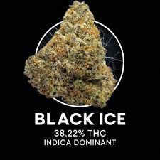 Black Ice THCA Flower